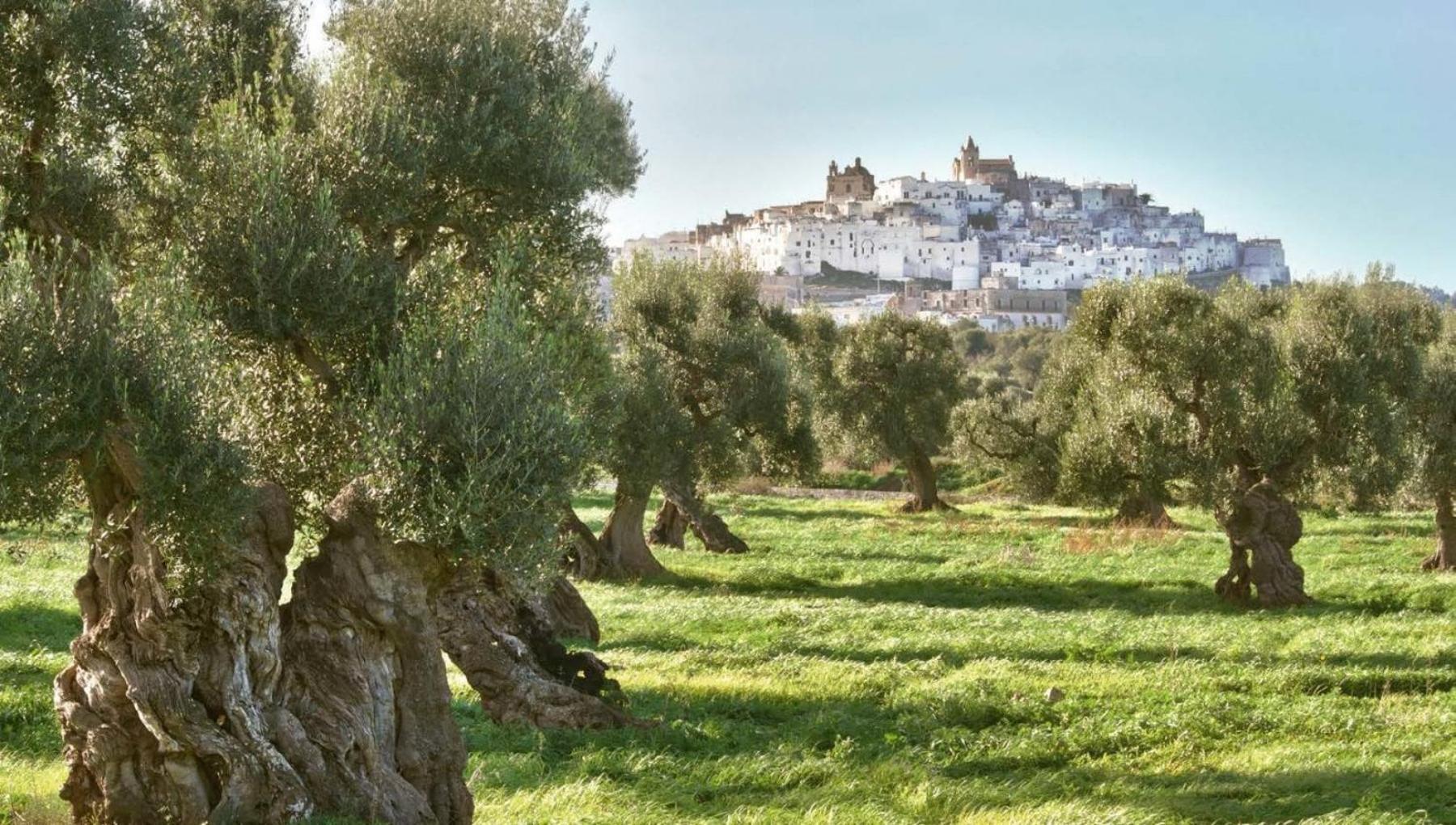 Dimora White 2.0 Villa Ostuni Exterior photo